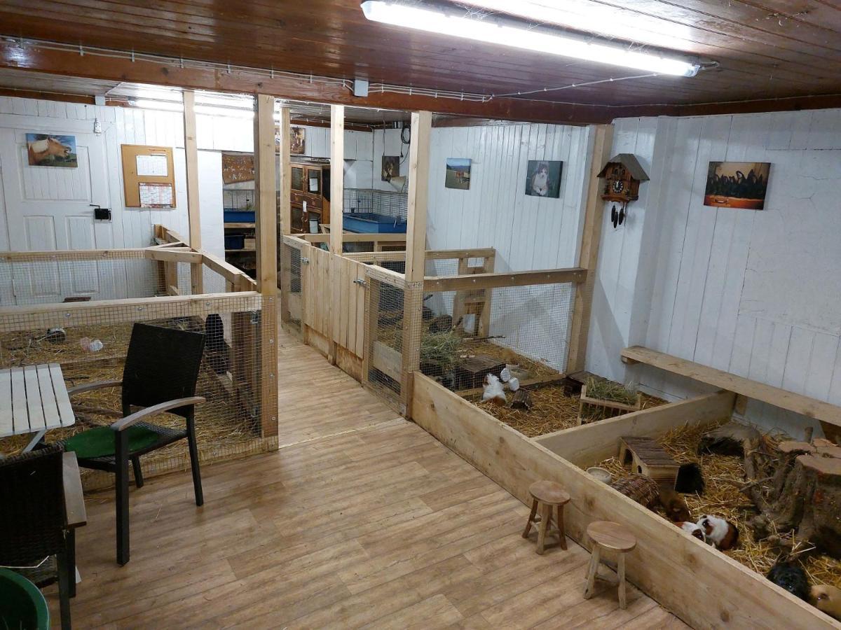 Appartamento Reeshof Horben Esterno foto